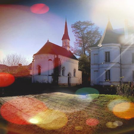 Chateau De Basche Assay Dış mekan fotoğraf
