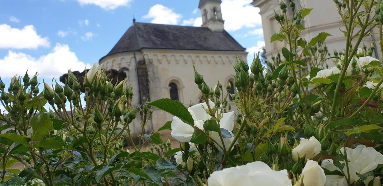 Chateau De Basche Assay Dış mekan fotoğraf